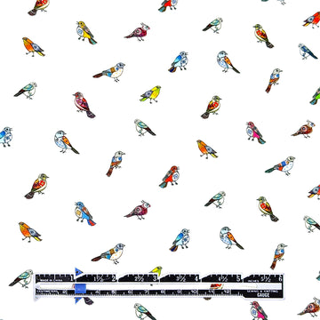 Italian 'bird trinkets' cotton poplin 2.25 yds