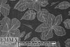 embroidery look cotton/rayon voile woven - flowers