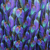 Dutch digital 'mood garden' cotton knit, Oeko-Tex cert. .75 yds