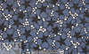 famous designer cotton eyelet voile - marine/black