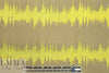 NY designer embroidered voile - khaki/lemon static 1.6 yds