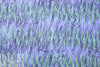 NY designer printed, embroidered raw silk - wisteria jungle .875 yds
