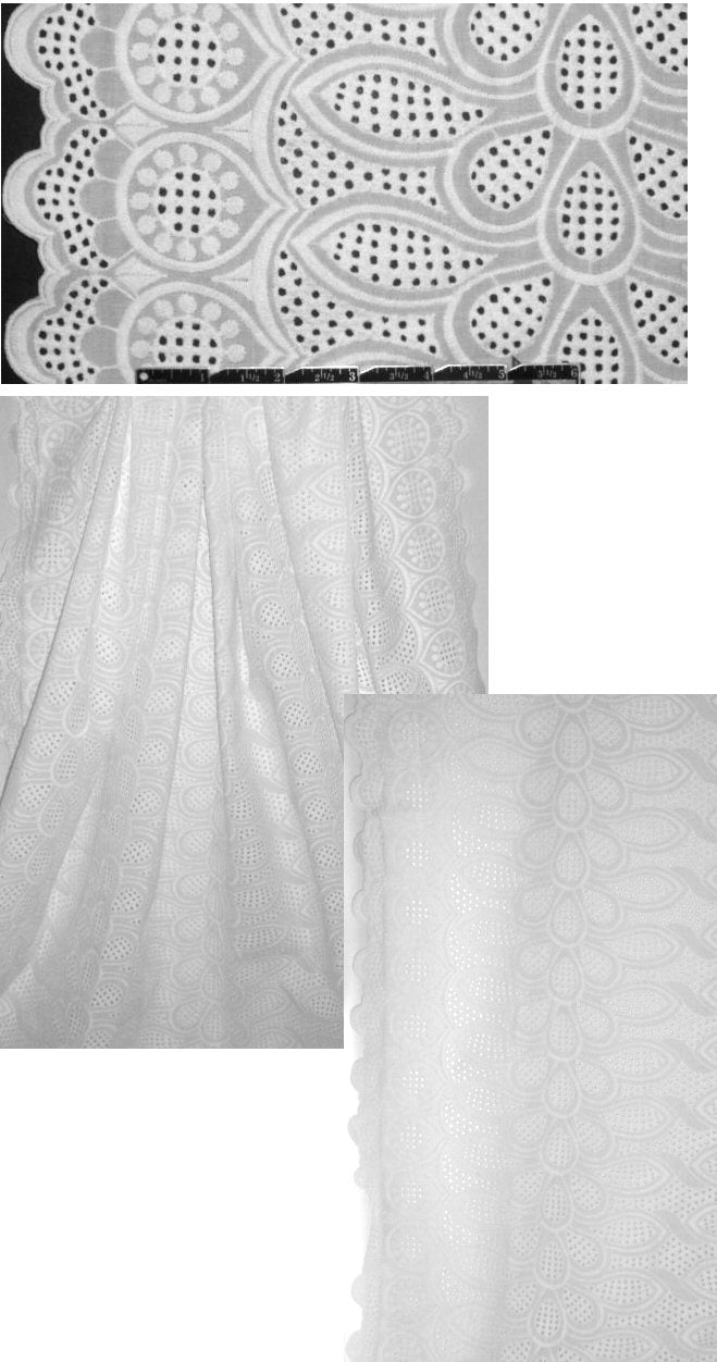 double scallop-border cotton eyelet lace - white