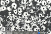 Italian 'photo floral' design french terry knit .75 yds