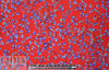 Italian stretch 'hammered' silk - delicate blossoms