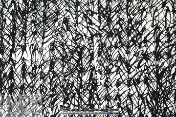 Mi11y doodly scribble viscose 'matte hybrid' .75 yds