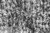 Mi11y doodly scribble viscose 'matte hybrid' 1.375 yds