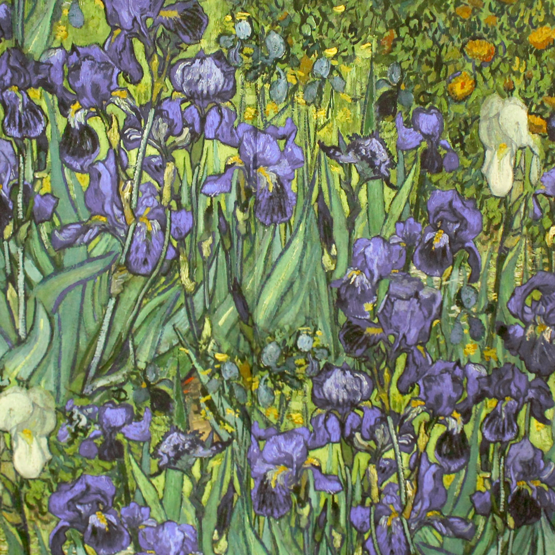 'Vincent's Irises' Dutch digital cotton brushed French terry panel, Oeko-Tex cert.