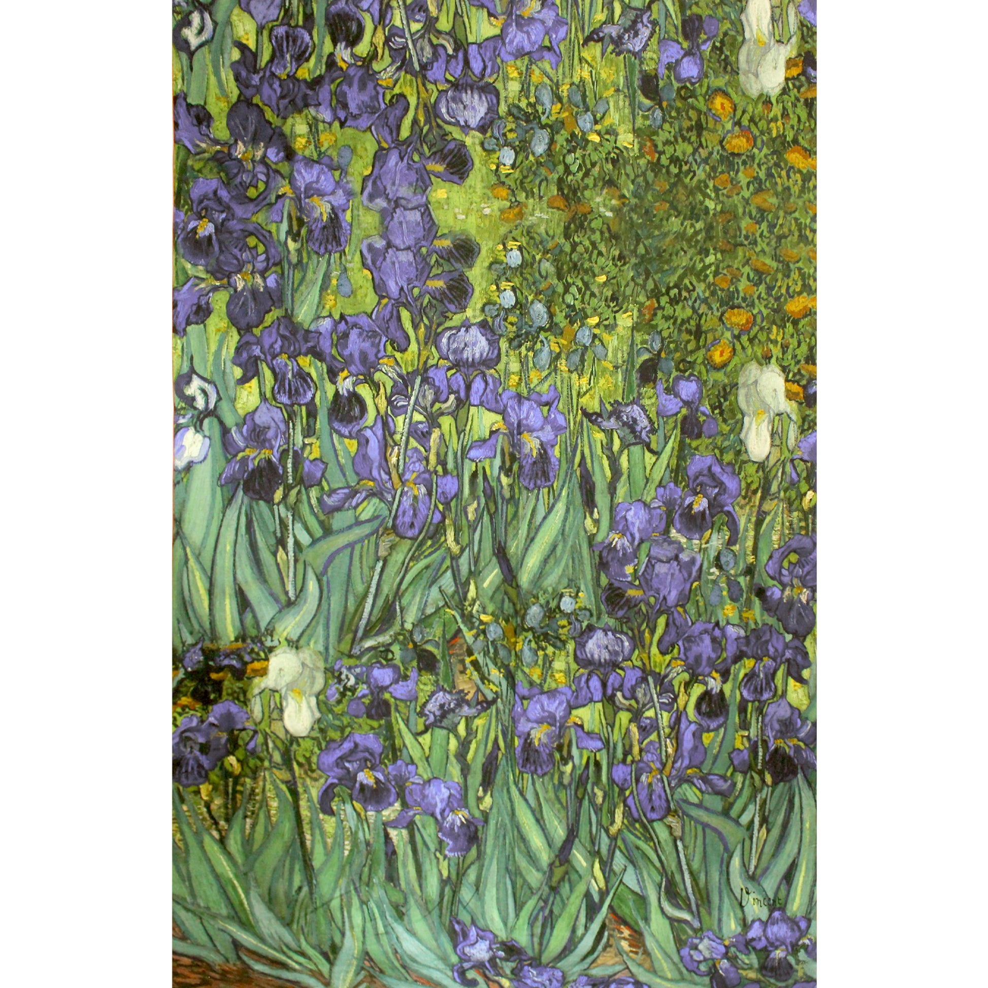 'Vincent's Irises' Dutch digital cotton brushed French terry panel, Oeko-Tex cert.