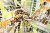 Italian digital viscose knit - color story, earth/spice