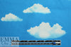 NY designer Japanese 'cumulus cloud' cotton woven