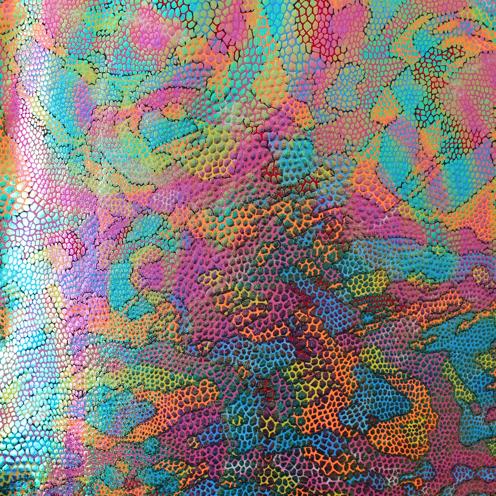 European 'karma chameleon' 4-way iridescent swim knit