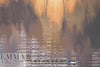 German sweatery viscose digital knit - abstract cityscape