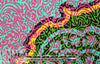 Italian digital viscose knit - intricate medallion 1 yard