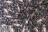 Italian digital viscose knit - paisley song 1 yard