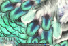 'feather fantasy' digital print rayon/spandex knit