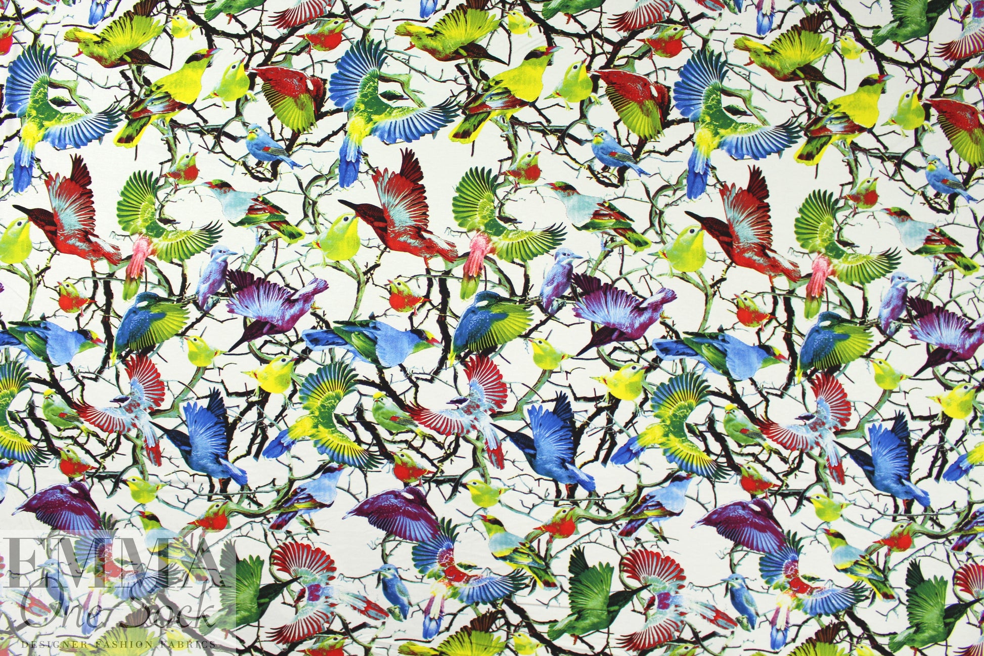 ornithology digital viscose knit - white