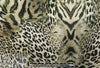 Italian digital viscose knit - wildcat rorschach