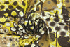 French digital viscose knit - cellular patchwork .625 yds