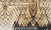 NY designer digital viscose knit panel - 'reptile repartee'
