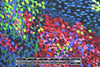 famous designer pointillistic textured poly knit
