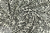 CA designer jacquard knit - stylized leopard