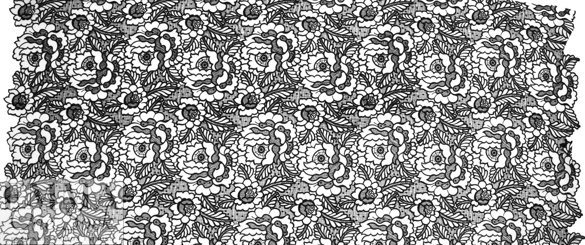 NY designer double scallop guipure lace - black/white