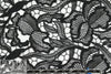 famous designer double scallop guipure lace - black