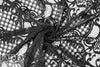 CA designer black lyrical graphic mesh lace 2.25 yd