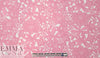 Monique Lhui11er floral guipure lace - pink