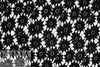 CA designer netted, textured floral lace - classic black 1.875 yd