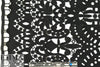 NY designer fancy guipure lace - black