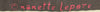 famous designer panel silk charmeuse - choc/rouge