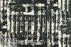 Carmen Marc Va1vo black cream edgy ottoman 1 yard