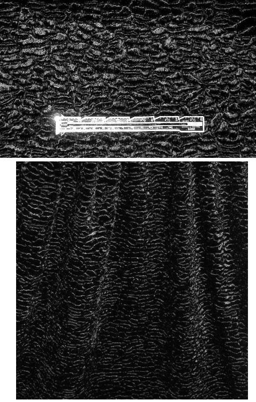 NY designer faux Persian lamb - black 1 yard