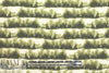 CA designer forest scene lightweight woven 1.375 yds