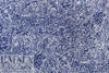 Cana1i 'modern glyphs' cotton poplin -navy/white .5 yds