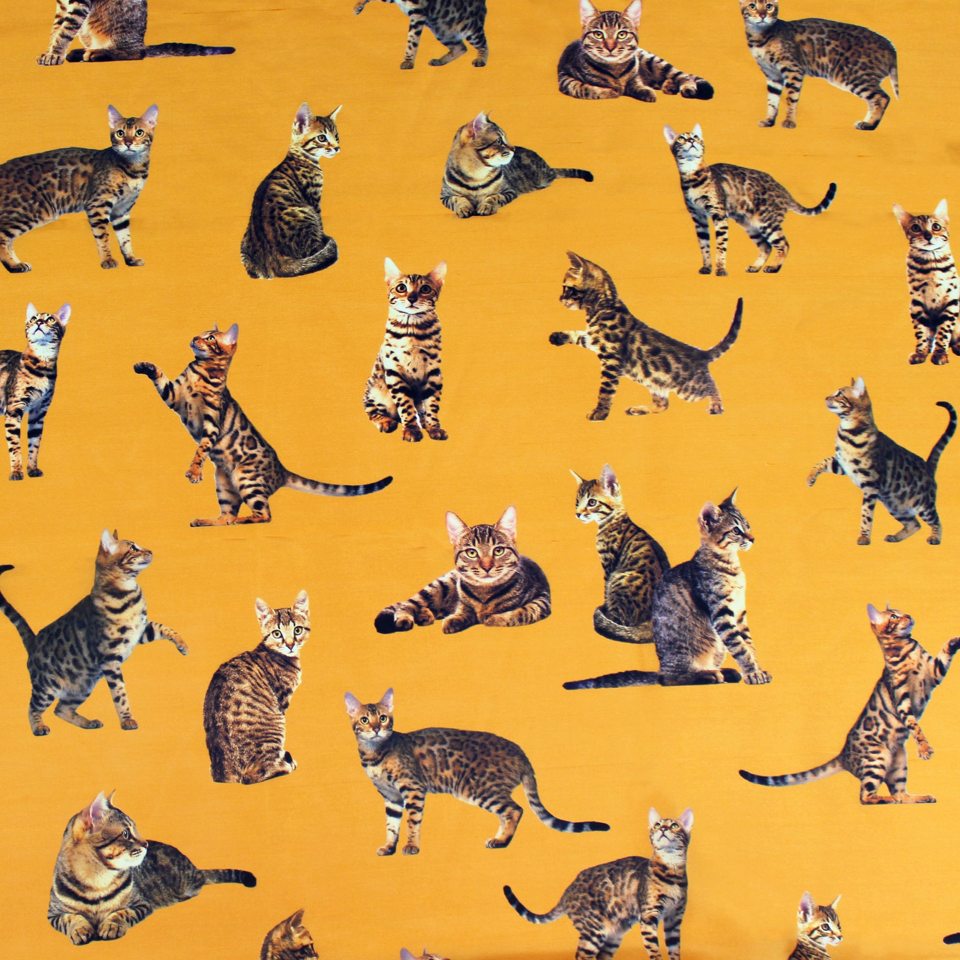 French 'good kitty' printed silk woven - marigold