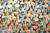 'flowering vases' printed velvet knit 3 yds