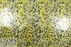 Italian mosaic jacquard laminated rainwear - gold/black