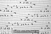 birds on wire drapey rayon woven - black/white