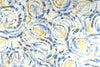 CA designer viscose crinkled woven - tie dye special 2.125 yd