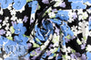 CA designer 'nocturnal blossoms' rayon voile 1.125 yds
