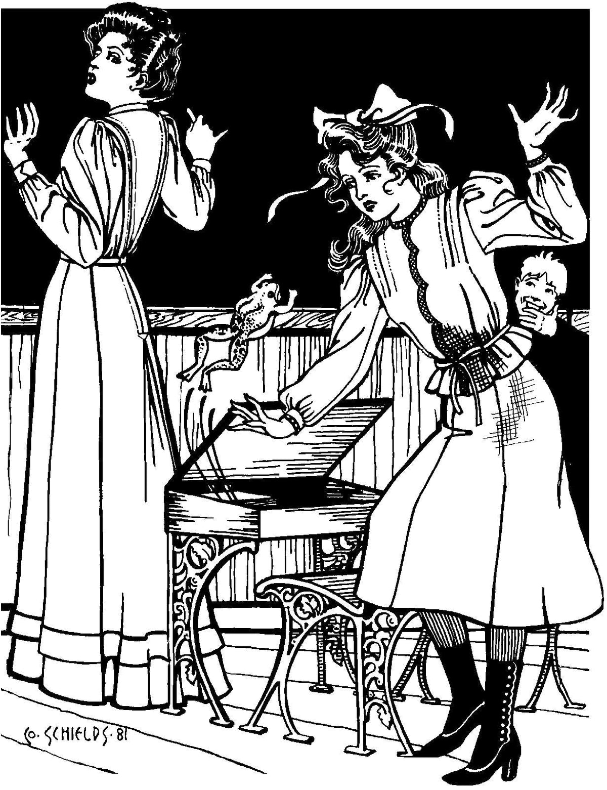 Digital Sewing Pattern - 216 Schoolmistress' Shirtwaist & Skirt - PDF by Folkwear