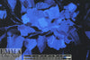 Carmen Marc Va1vo scuba knit - blue floral on black 1.5 yds
