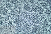 Italian 'inky blues abstract' cotton shirting 1.66 yd