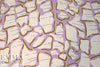 CA designer surreal shapes silk charmeuse