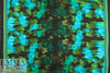 NY designer turq/lime border print silk twill
