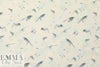 Rebecca Tayl0r bird sketch stretch silk chiffon - pearl 1.5 yd