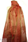 NY designer embroidered irridescent silk organza